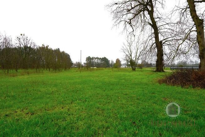 Działka w Goszczanowcu, możliwość kupna 6412 m2