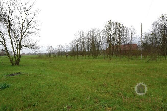 Działka w Goszczanowcu, możliwość kupna 6412 m2