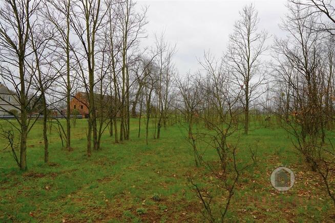 Działka w Goszczanowcu, możliwość kupna 6412 m2