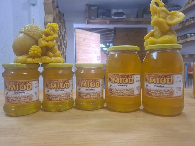 Miód mniszkowy 10+1 2024