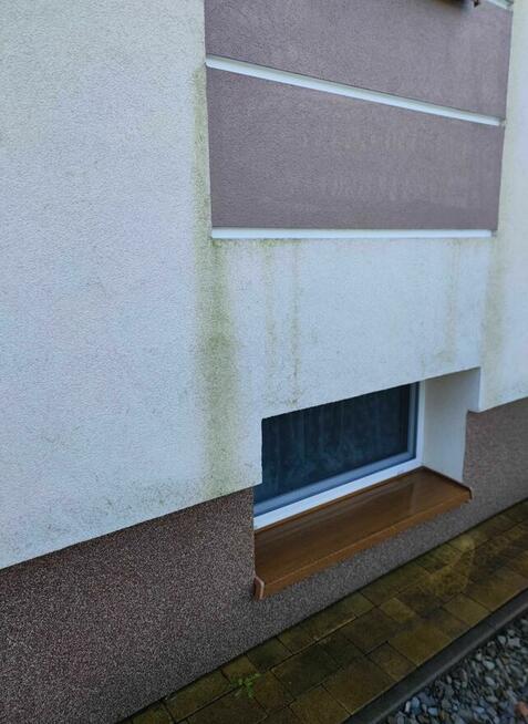 Płyn do mycia kostki brukowej i elewacji Tenzi Apc Out