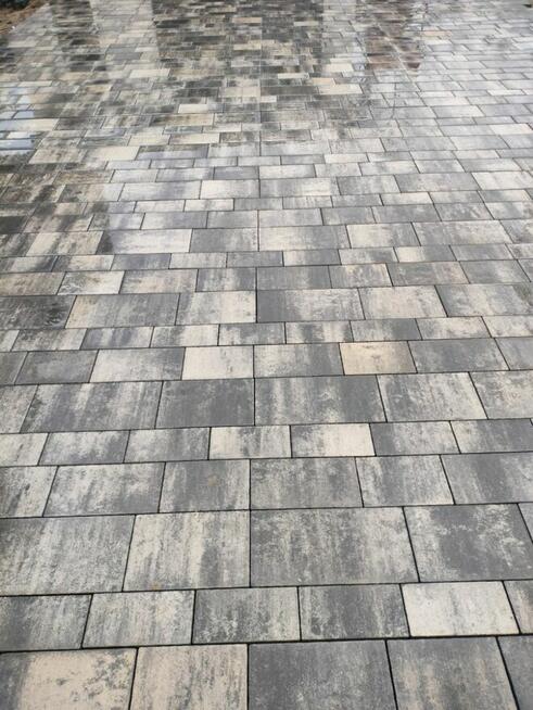 Zakładanie ogrodów i układanie kostki brukowej rwonty