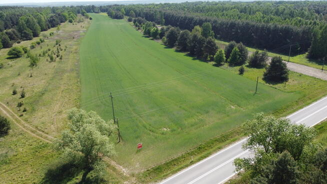 Duża działka inwestycyjna blisko Wisły w Kłudziu.