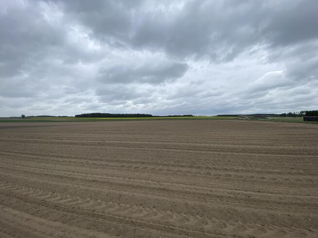 Działka budowlana 691 m2 w Borkach Siedleckich!