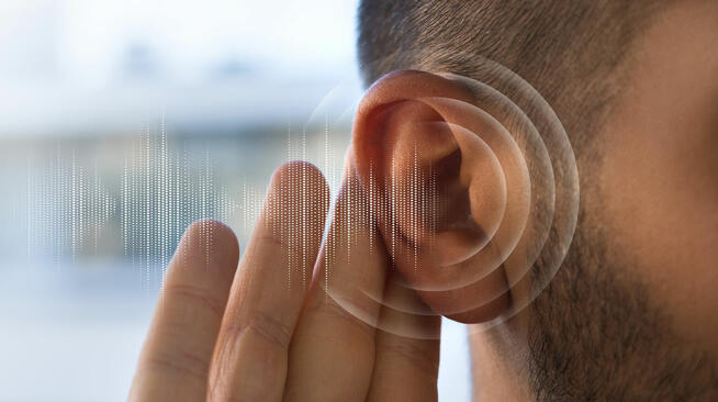 Pętle indukcyjne Włocławek