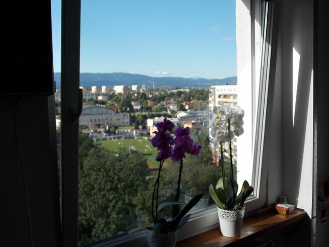 Mieszkanie w idealnej lokalizacji w Nowym Sączu, 4 pokojowe