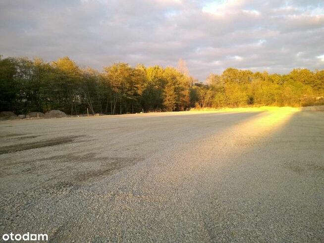 Plac z obsługą logistyczno-transportową