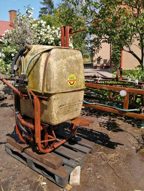 Opryskiwacz, pająk do siana pięcio gwiazdowy