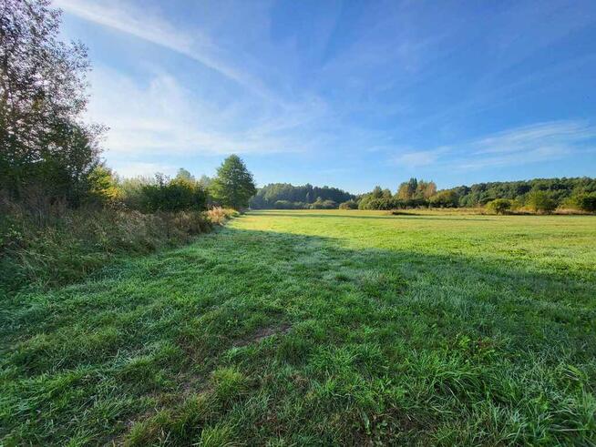 Piękna ponad hektarowa działka Borki Siedleckie!
