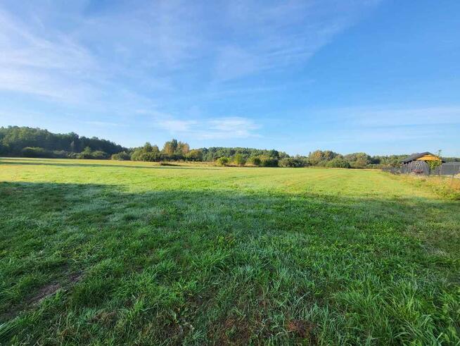 Piękna ponad hektarowa działka Borki Siedleckie!