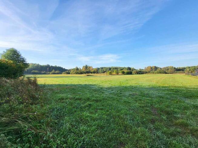 Piękna ponad hektarowa działka Borki Siedleckie!