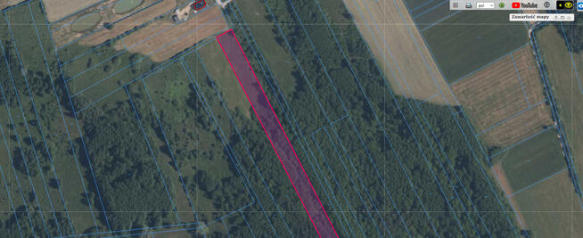 Piękna ponad hektarowa działka Borki Siedleckie!