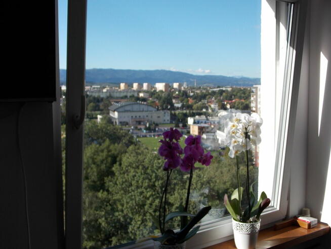 Zamienie 4-pokojowe mieszkanie w Nowym Sączu na w Krakowie