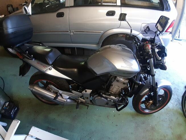 HSE Sebastian Hofman