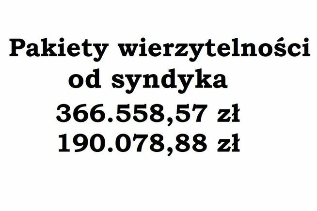 Syndyk sprzeda pakiety wierzytelności