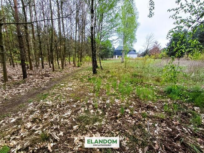 Działka Aleksandrów, z własnym lasem, WZ