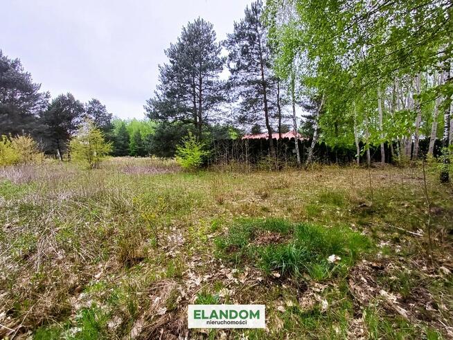 Działka Aleksandrów, z własnym lasem, WZ