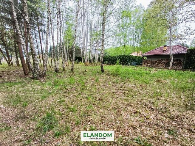 Działka Aleksandrów, z własnym lasem, WZ