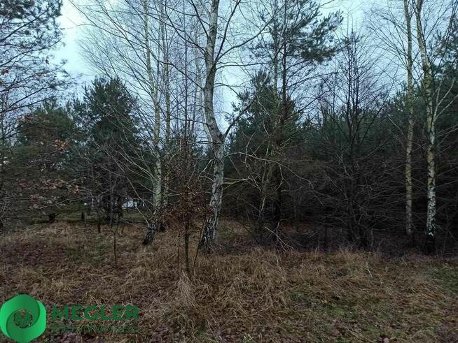 Działka niedaleko szkoły