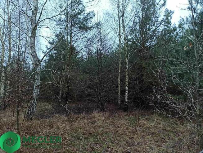 Działka niedaleko szkoły