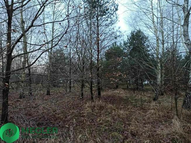 Działka niedaleko szkoły