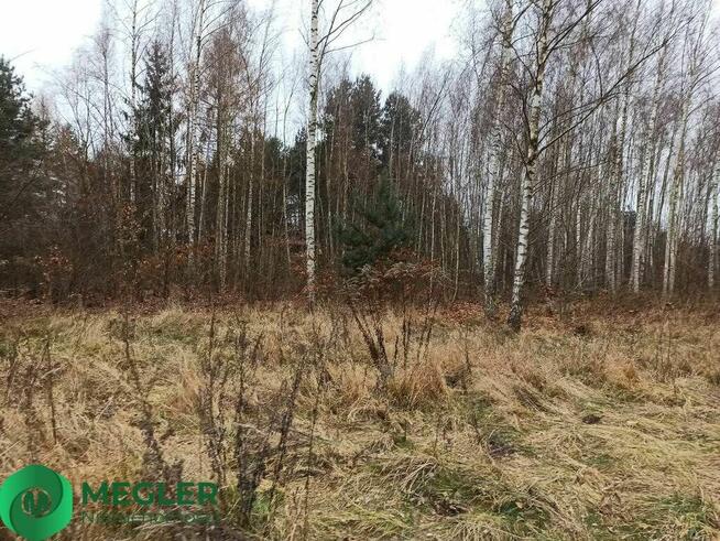Działka w pobliżu lasu