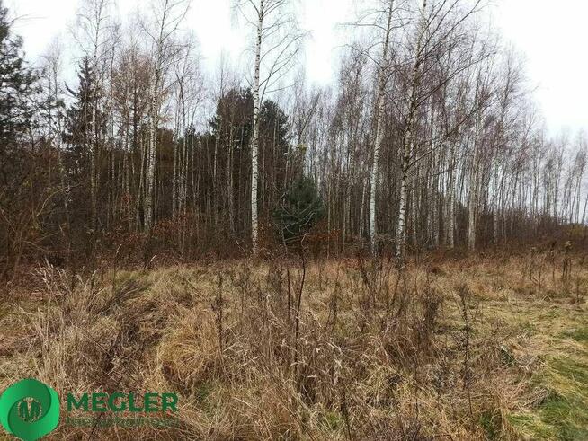 Działka w pobliżu lasu