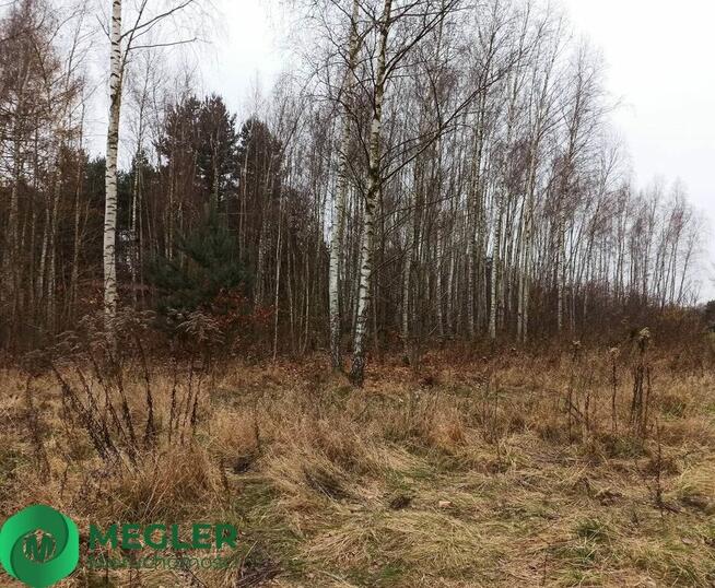 Działka w pobliżu lasu