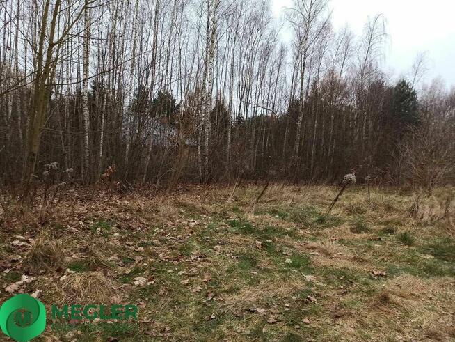 Działka w pobliżu lasu