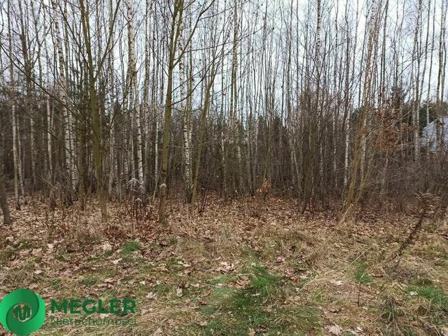 Działka w pobliżu lasu
