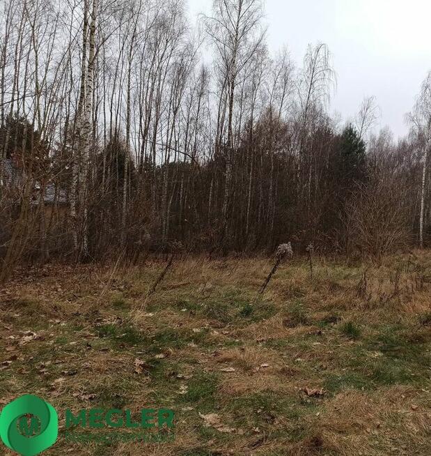 Działka w pobliżu lasu