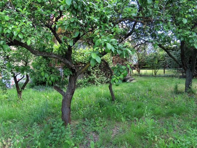 Dom 246m2 na działce 480m2 na Żoliborzu