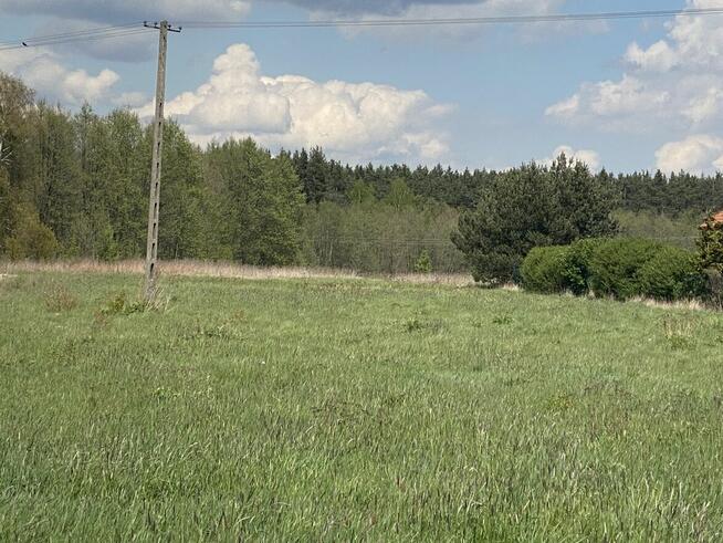 Działka pod lasem