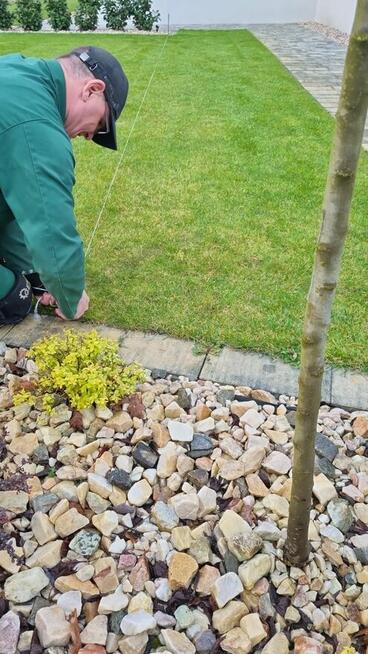 Profesjonalne usługi ogrodnicze - Częstochowa i okolice