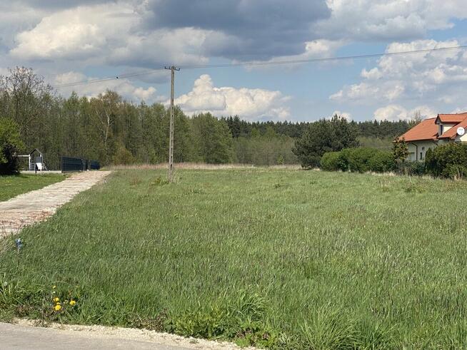 Działka pod lasem