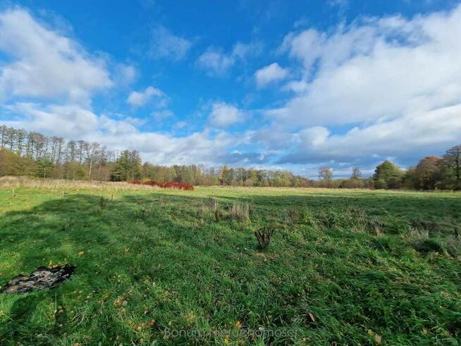 Na sprzedaż 4 działki rolne w Szczytnej
