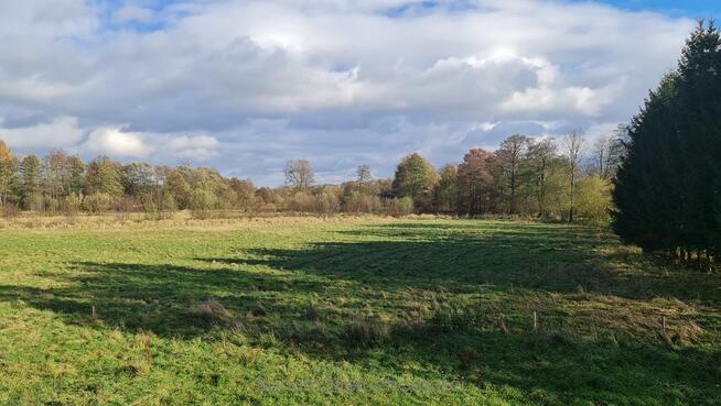 Na sprzedaż 4 działki rolne w Szczytnej