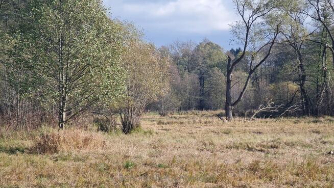 Na sprzedaż 4 działki rolne w Szczytnej