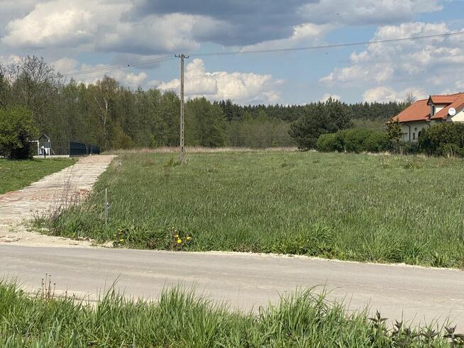 Działka pod lasem