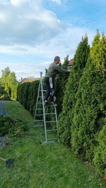 Profesjonalne usługi ogrodnicze - Częstochowa i okolice