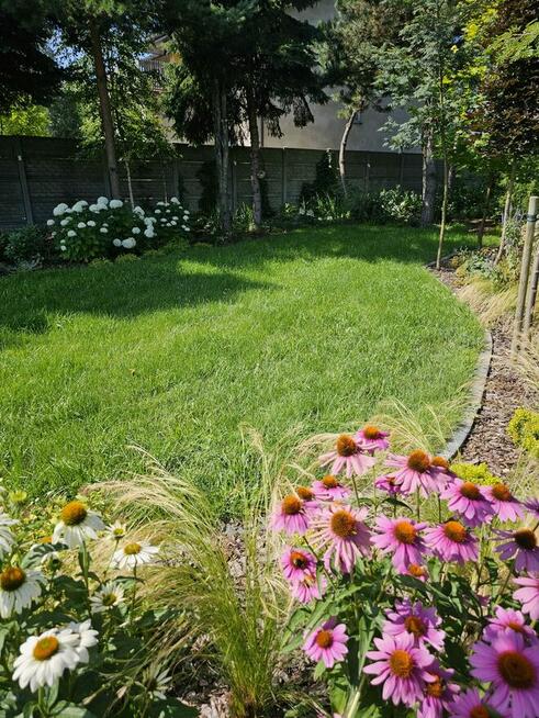 Profesjonalne usługi ogrodnicze - Częstochowa i okolice