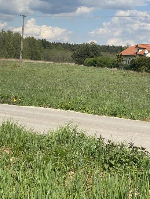 Działka pod lasem