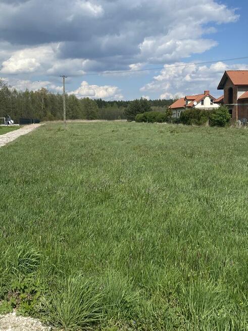 Działka pod lasem