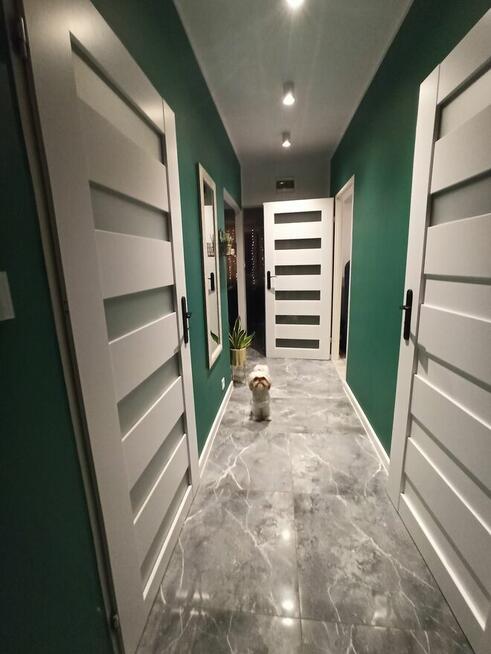 Zamienię mieszkanie Ruda Śląska