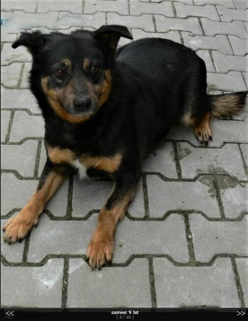 Bojan ukradzione dzeciństwo czy znajdzie dom Iwona Masł