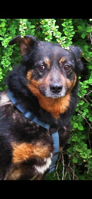 Bojan ukradzione dzeciństwo czy znajdzie dom Iwona Masł