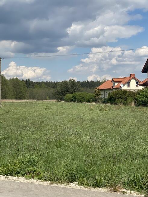 Działka pod lasem