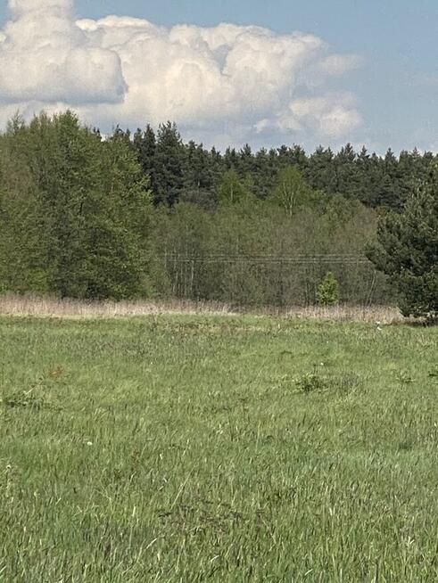 Działka pod lasem