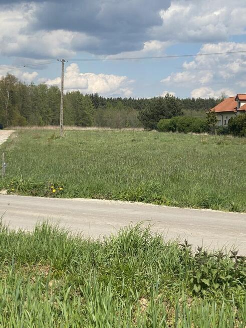 Działka pod lasem