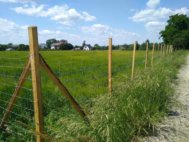 Działki budowlane Krzywa gm. Chojnów
